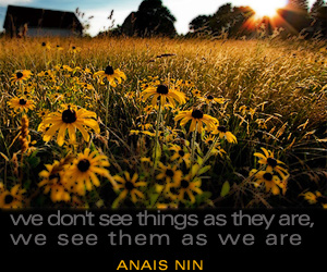 girly quotes myspace