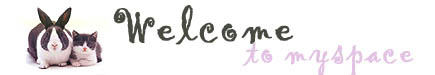 myspace banner