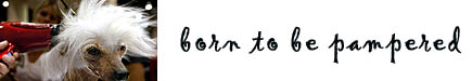 myspace banner