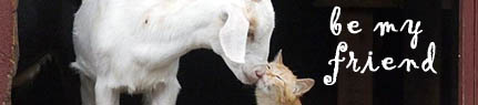 myspace banner