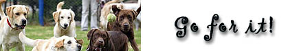 myspace banner